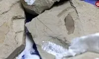 فسیل ترسناک‌ترین جانور دریایی در چین کشف شد