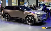 پژو ۸۰۰۸، آزمون سرنوشت‌ساز شیر فرانسوی