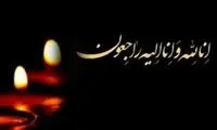 هوشنگ نصیرزاده عزادار شد