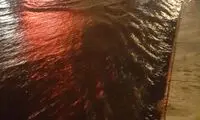 آقای زاکانی، سرت سلامت، این فیلم را ببین، برای شما گرفتیم