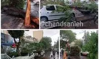 بلایی که طوفان بر سر تهران آورد