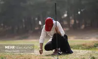 کاشت کلم و کاهو در زمین گلف کاخ مروارید!