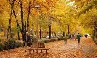 چرا برخی عاشق فصل پاییز هستند؟