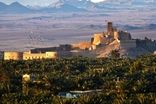 چند سودجو به جان باغ شهر جهانی بم افتادند