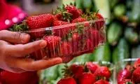 این میوه داروی درمان کبد چرب و دیابت است