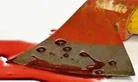 مرد نویسنده، همسرش‌ را با ضربات تبر از پای درآورد!