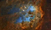 بچه قورباغه را در آسمان ببینید!
