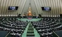 انتقاد جانانه یک جوان رای اولی از برخی نمایندگان 