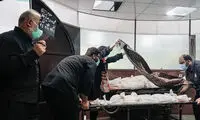بعد از کرونا و جنگ شاید مردم ایران به طاعون سلام کنند!