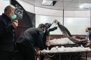 بعد از کرونا و جنگ شاید مردم ایران به طاعون سلام کنند!