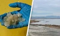 گنج ۵۴۰ میلیارد دلاری، در عمق یک دریاچه‌ پیدا شد