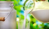 شیر بیشتر از آب، کم آبی بدن را جبران می کند