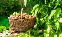 توصیه مهم به دانش آموزان و دانشجویان قبل امتحان