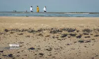 ساحلِ گناوه دوباره نفتی شد