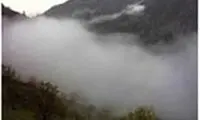 تصاویری از کشف خارق‌العاده درباره شکار مِه!