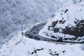 آغاز بارش شدید برف در جاده چالوس