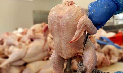پیش‌بینی قیمت مرغ در روزهای آینده