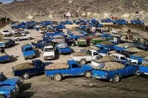 حساب و کتاب باورنکردنی قاچاق سوخت