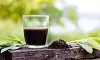 این کود طبیعی، بمب انرژیِ گیاهان آپارتمانی است!