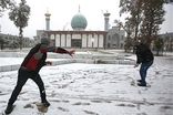بارش برف شبانه، شیراز را سفیدپوش کرد