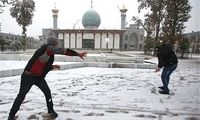 بارش برف شبانه، شیراز را سفیدپوش کرد