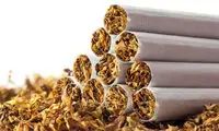 محتویات یک نخ سیگار در زیر میکروسکوپ!