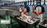 خشم کاربران از تیتر یک خبرگزاری درباره قیمت مرغ 