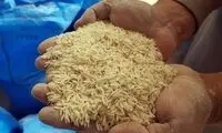 وعده کاهش قیمت برنج پس از گرانی سرسام‌آور
