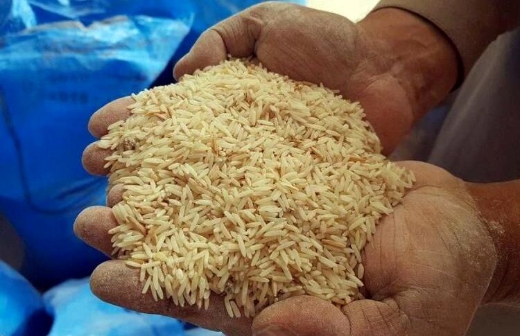 وعده کاهش قیمت برنج پس از گرانی سرسام‌آور
