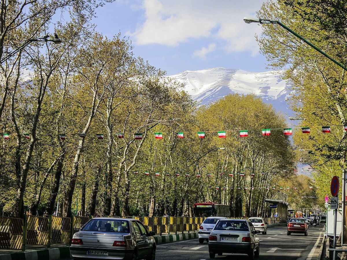 تصاویری از متلاشی شدن یک درخت در تهران بر اثر بارش باران