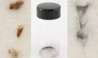 حراج محتویات ارزشمند معده چند سوسک!