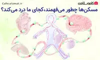 مسکن ها چطور می‌فهمند کجای ما درد می‌کند؟