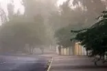 علت آلودگی هوای منجیل اعلام شد
