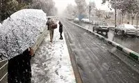 تاریخ ورود سردچال قطبی به ایران مشخص شد