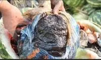 عکسی عجیب از جاسازی تریاک در هندوانه