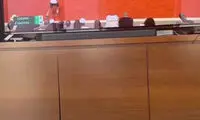تعجب محمدرضا گلزار از علاقه شدید گربه اشرافی‌‎اش به تماشای تنیس