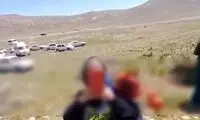بعد از خاک هرمز، نوبت به غارت لاله‌ها رسید!