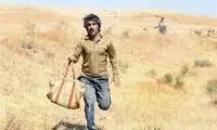 فصل جدید سریال محبوب تلویزیون ساخته می‌شود