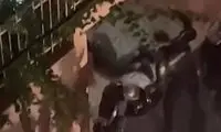 فیلم نازی‌آباد؛ قربانی چه کسی است؟