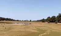 در اتفاقی عجیب سقالکسار رشت هم خشک شد!