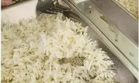واکنش دانشگاه علوم پزشکی کاشان به مارمولک خبرساز