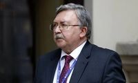 اولیانوف: ایران برای برجام انعطاف نشان داد