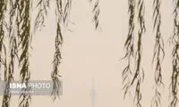 ویدئویی از رئیسی که طی ساعات اخیر وایرال شد
