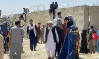 وحشت عمومی از هجوم میهمانان ناخوانده به ایران