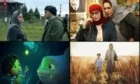 شهرتی که اسکار برای فیلم هومن سیدی رقم زد
