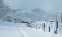 ارتفاع برف در این استان به ۶۰ سانتی‌متر رسید