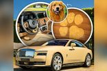 نمونه سفارشی رولزرویس برای یک سگ!