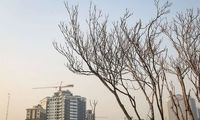 انتظار ۹۸ ساله تهرانی‌ها برای خانه‌دار شدن