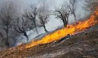 تصاویری هولناک از آتش‌‌سوزی در جنگل‌های پاوه