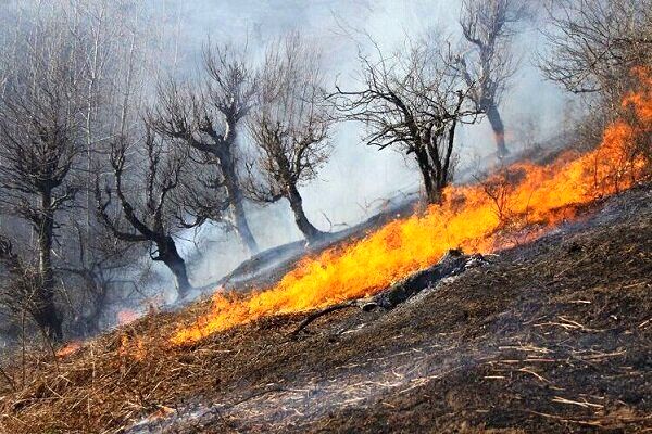 تصاویری هولناک از آتش‌‌سوزی در جنگل‌های پاوه
